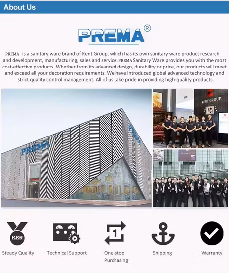 간단한 스타일 현대 디자인 욕실 캐비닛 PVC 페인트